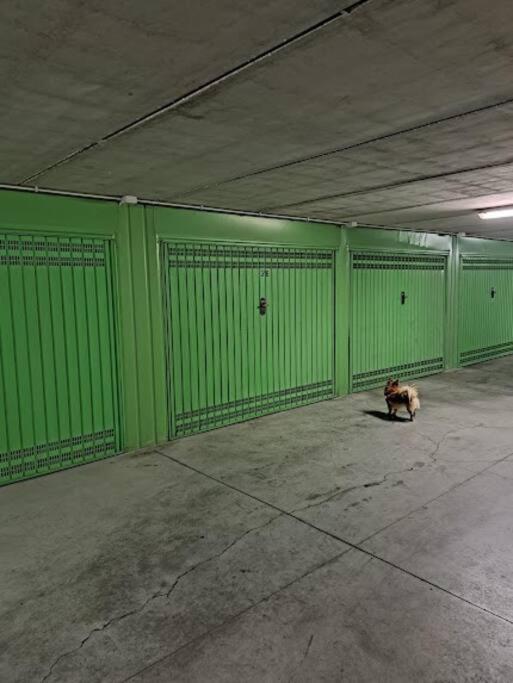 아르마 디 타지아 Centrale Vicino Spiagge E Ciclabile + Box-Auto ! 아파트 외부 사진